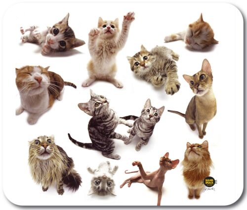 All-06915 Mousepad Cat Group
