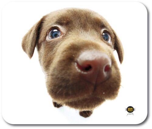 All-06917 Mousepad Chocolate Labrador