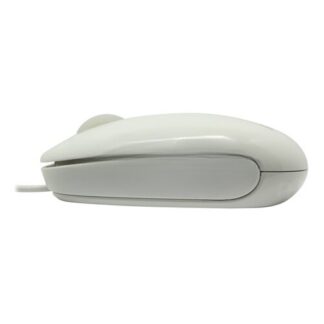 Asus Seashell Optical Mouse Usb
