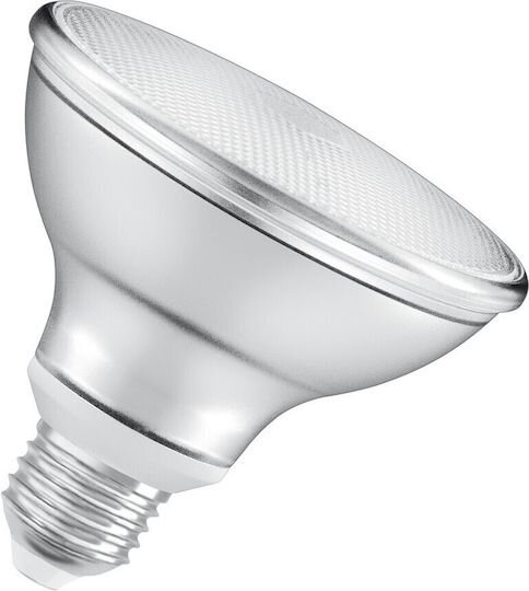 Ecolamp Λάμπα Led Par30 11W E27 4000K 7306E/C Vk
