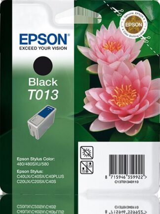 Epson T013 Ink Cartridge 480 Black