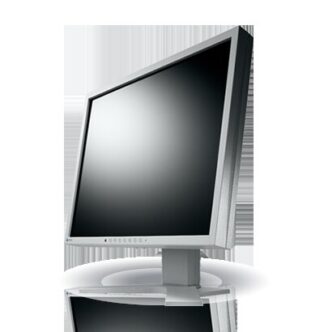 LCD Monitor 17'' EIZO P1700 Gray