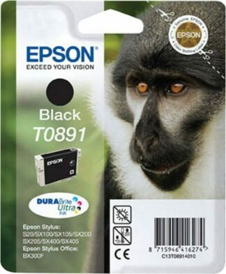 Μελάνι Epson T0891 5.8Ml