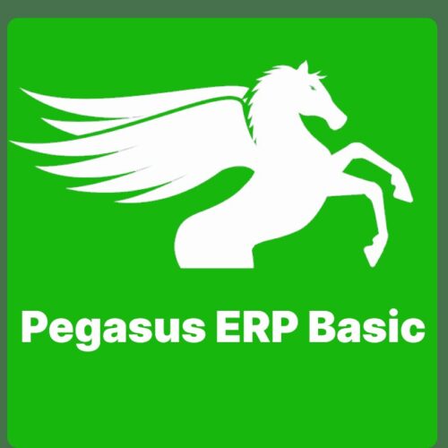 Pegasus ERP Basic
