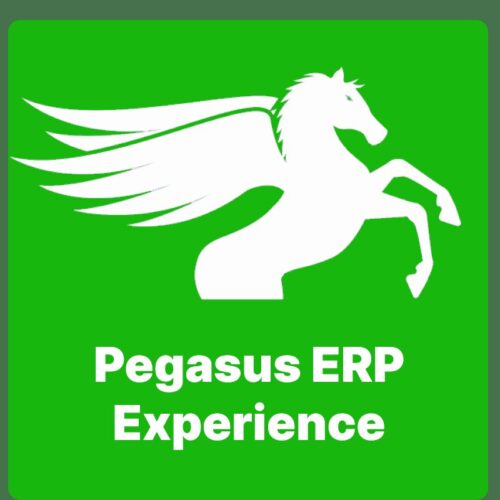 Pegasus ERP Experience