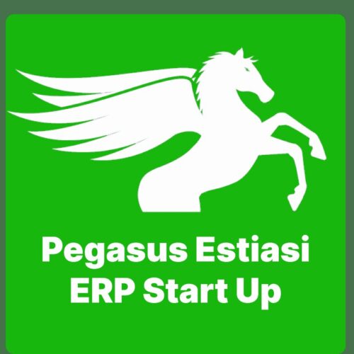 Pegasus Estiasi ERP Start Up