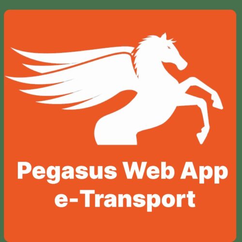 Pegasus Web App e-Transport